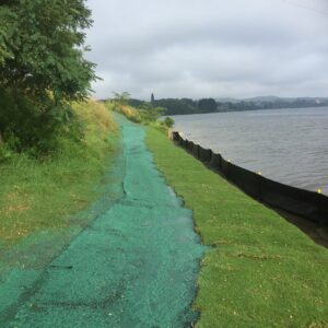 sustainable hydroseeding