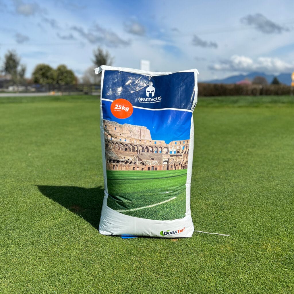 Spartacus Rye Seed 25kg Lawn And Turf Contracting Ltd spartacus-rye-seed-25kg-lawn-and-turf-contracting-ltd
