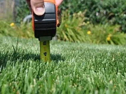 lawn and turf contracting new zealand waikato types of after care tips 2