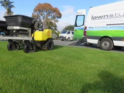 lawn and turf contracting new zealand waikato types of after care tips