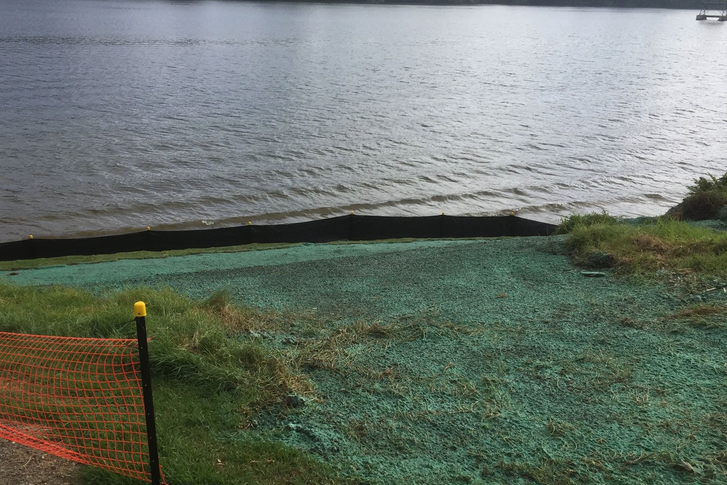 lawn and turf case study Te Puke Bridge in the Bay of Plenty