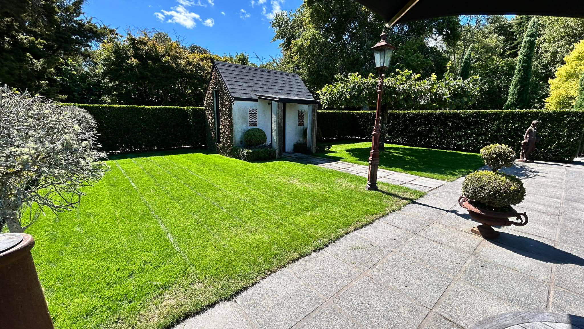 tamahere-wedding-preparation-project-lawn-and-turf-1