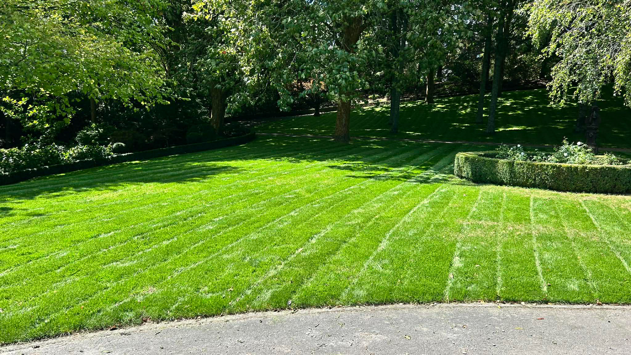 tamahere-wedding-preparation-project-lawn-and-turf-2
