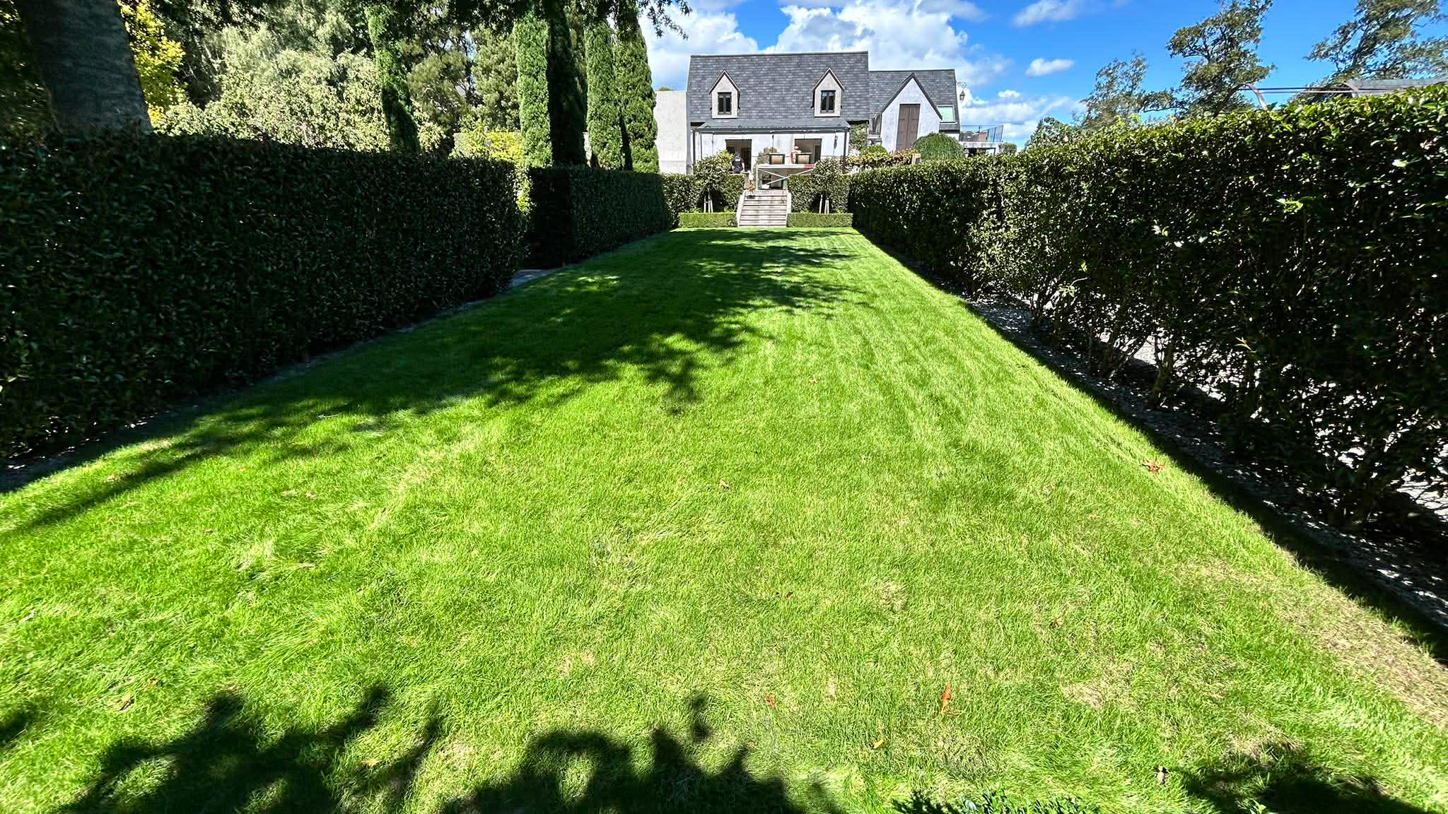 tamahere-wedding-preparation-project-lawn-and-turf-3