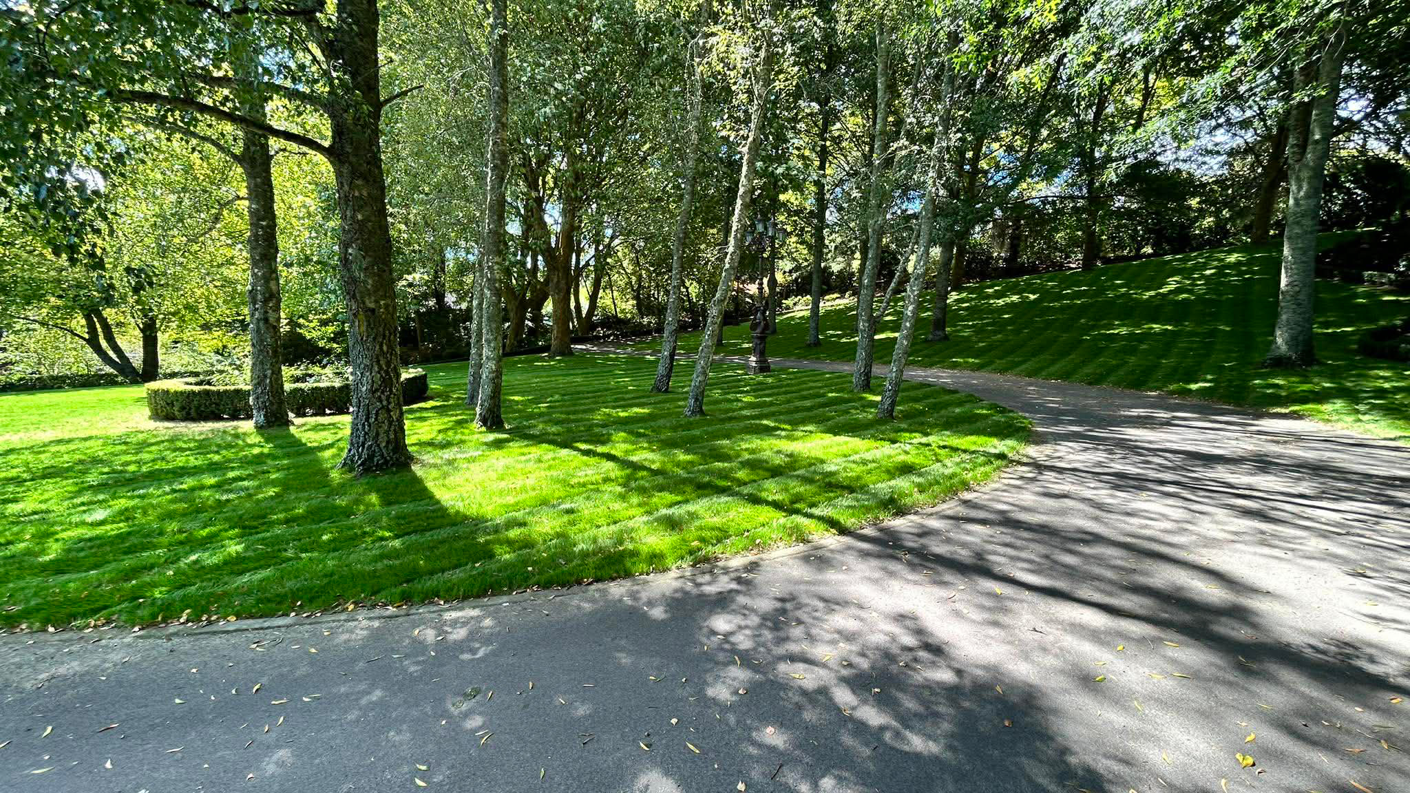 tamahere-wedding-preparation-project-lawn-and-turf-4