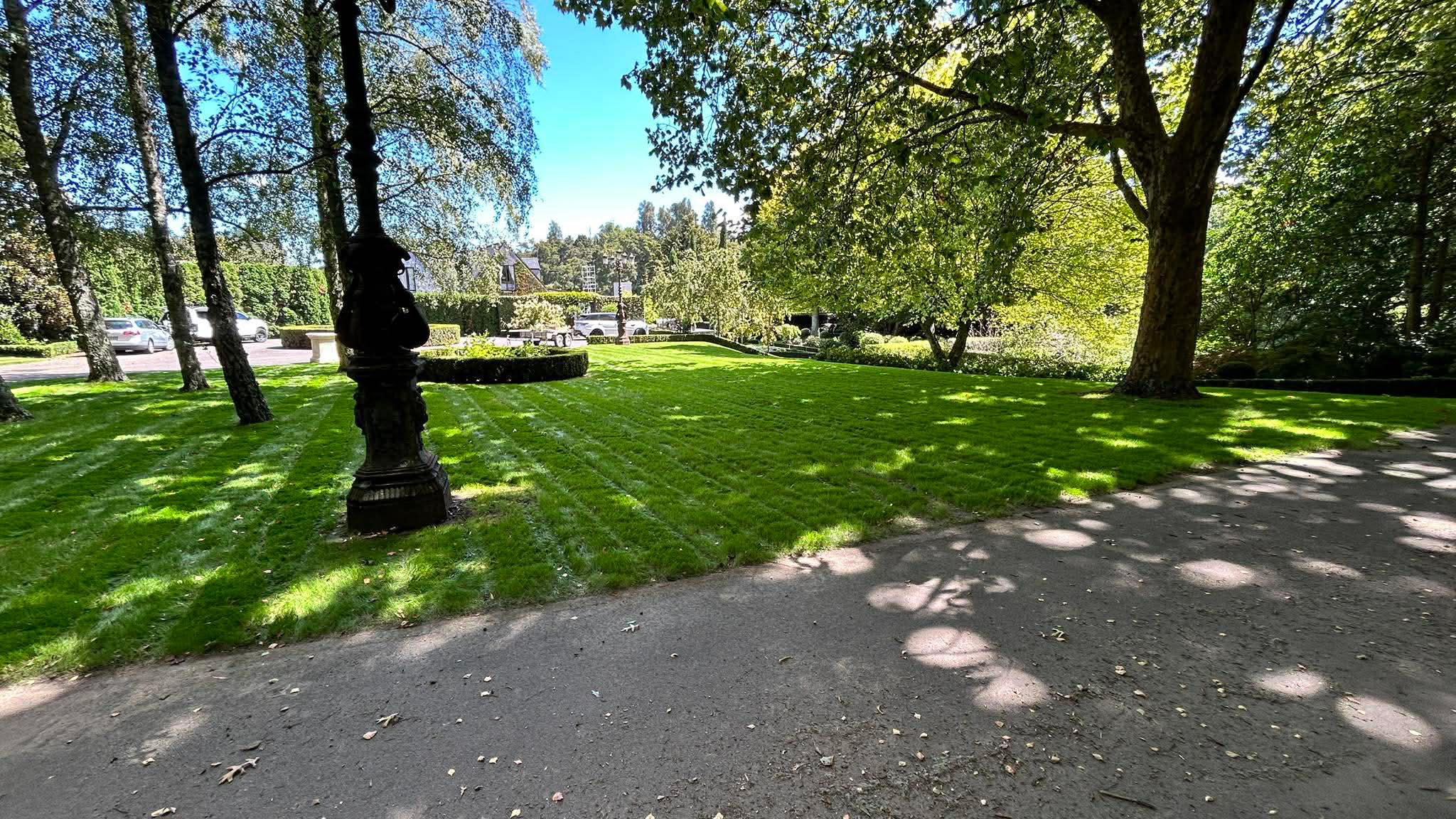 tamahere-wedding-preparation-project-lawn-and-turf-8