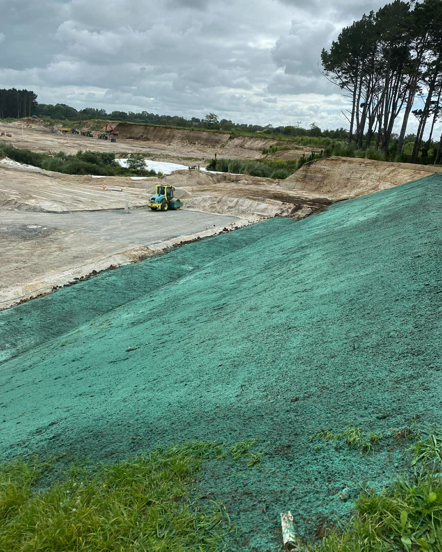 te-awa-lakes-horotiu-project-lawn-on-turf-waikato-1